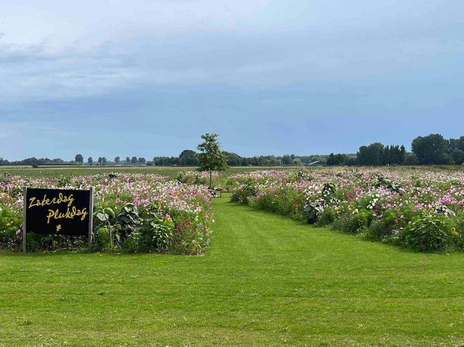 Gezellig - Lichtrijk - Modern - IJzendijke
