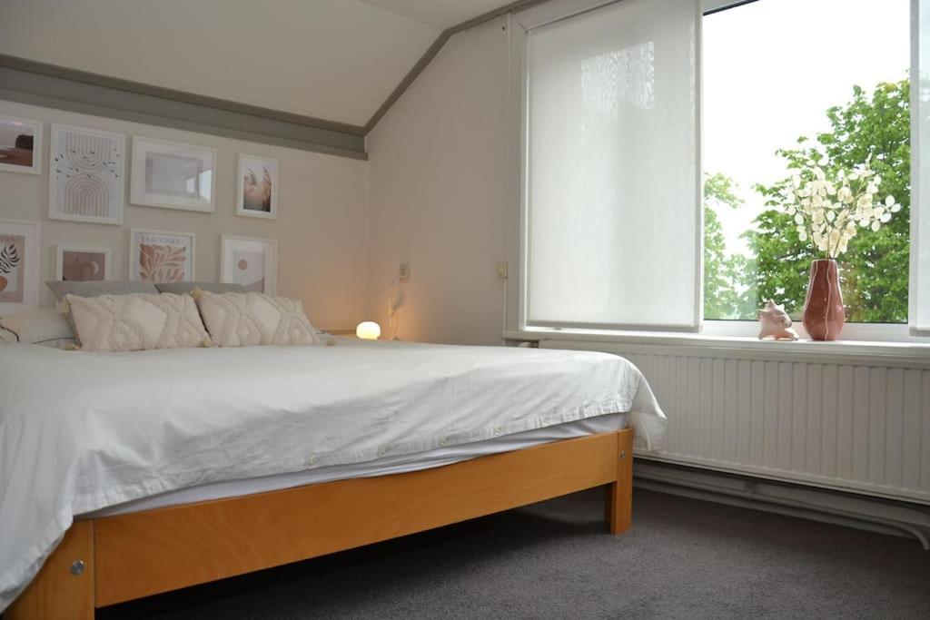 Gezellig - Lichtrijk - Modern - * IJzendijke