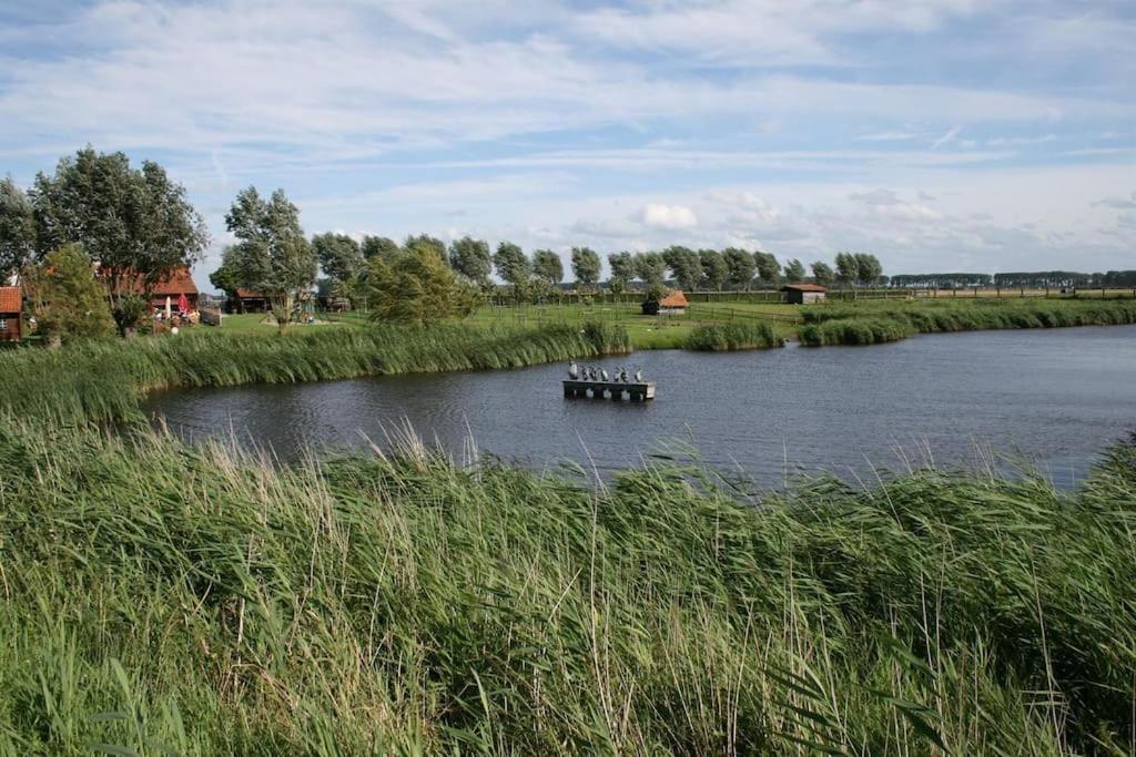 Gezellig - Lichtrijk - Modern - IJzendijke
