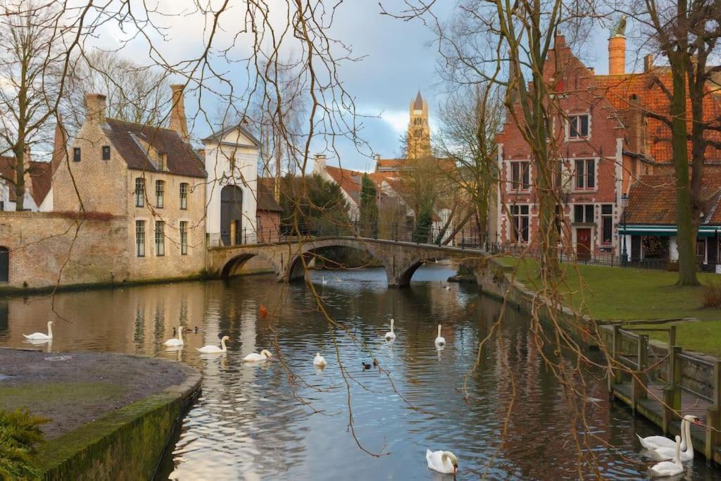 Gezellig - Lichtrijk - Modern - Vakantiehuis *