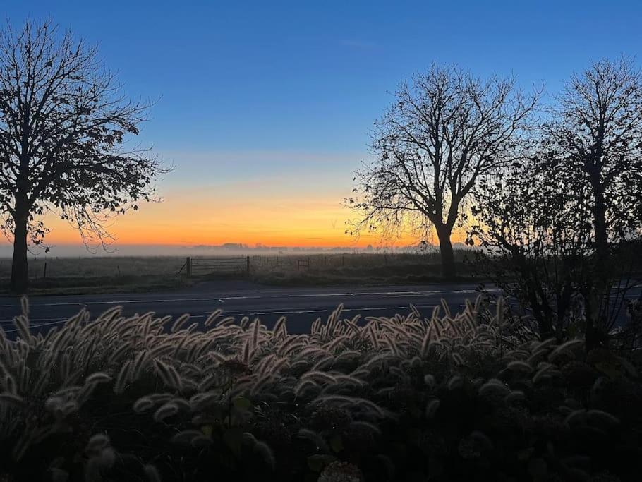 Gezellig - Lichtrijk - Modern - IJzendijke